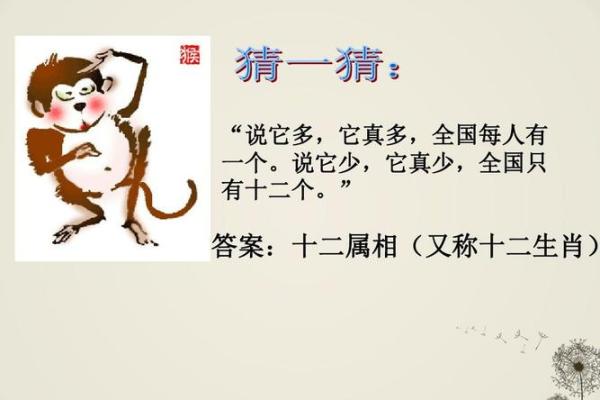 指鹿为马打一生肖的谜底是什么生肖  
