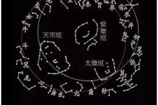 夜观天象是什么生肖  词语释义解释落实