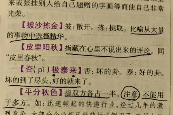 抛砖引玉打一生肖正确答案及成语典故解析  