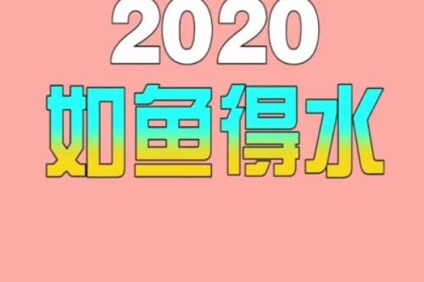 如鱼得水猜什么生肖  词语释义解释落实