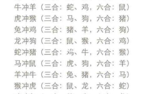家中宠物对应的生肖有哪些，如何根据生肖选择适合的宠物  