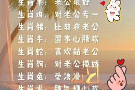 头撞南墙代表什么生肖及其性格分析  
