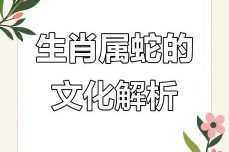 九九归一对应的生肖是什么 有什么民间传说或文化背景  