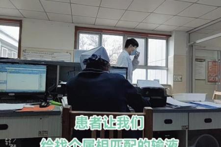 点滴归公指什么生肖，具体含义和象征意义解析  