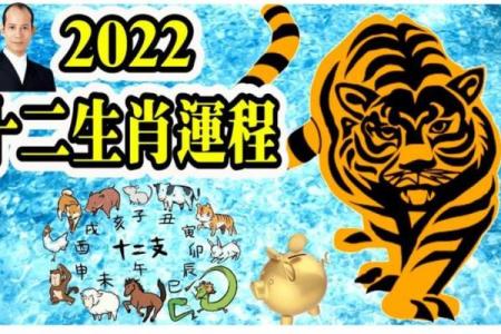 生肖买马  词语释义解释落实