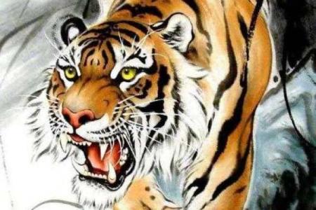 猛虎下山代表什么生肖 具体解析和象征意义  