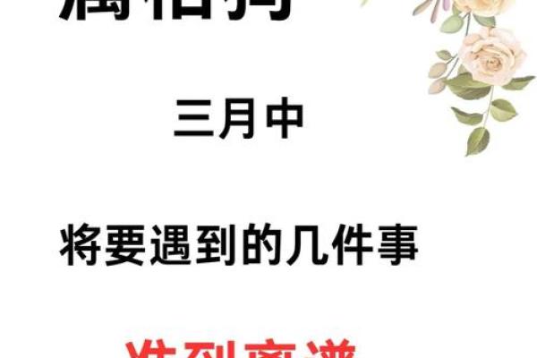 狗仗人势打一个生肖  词语释义解释落实