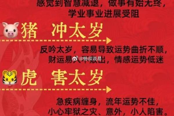 星光四射对应的生肖性格特点和运势解析  