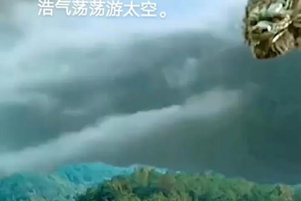 四海为家打一生肖  词语释义解释落实