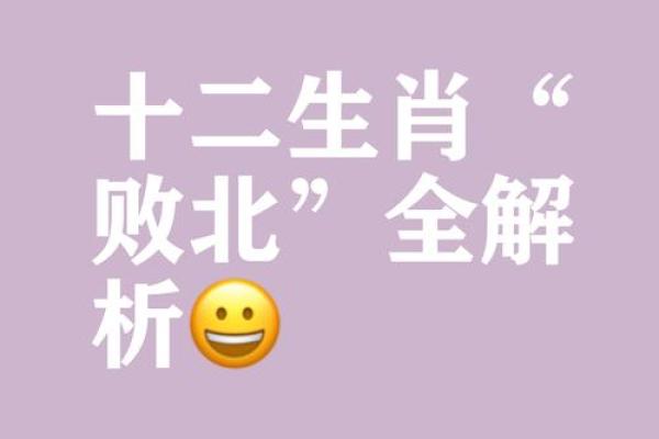 苦尽甘来打一个生肖是什么意思有什么寓意  