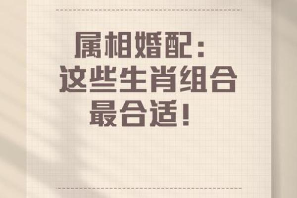 95年属相是什么生肖，婚配宜忌有哪些  