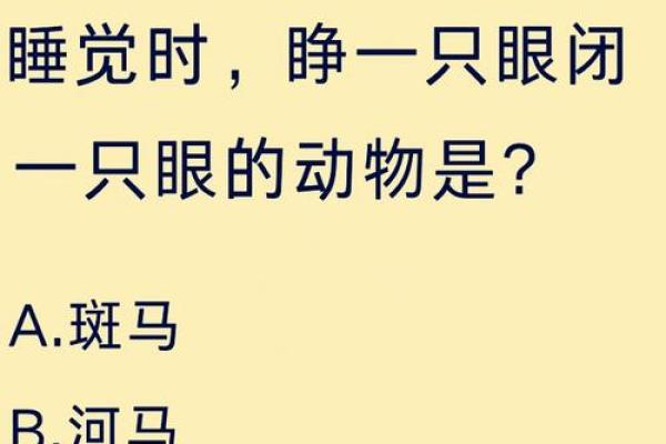 什么动物睡觉睁一只眼闭一只眼  词语释义解释落实