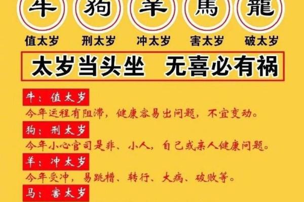 2021年出生的人属相是什么  
