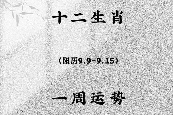 一叶知秋代表哪个生肖有什么寓意和象征  