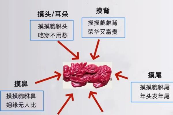 貔貅最忌讳什么生肖  词语释义解释落实