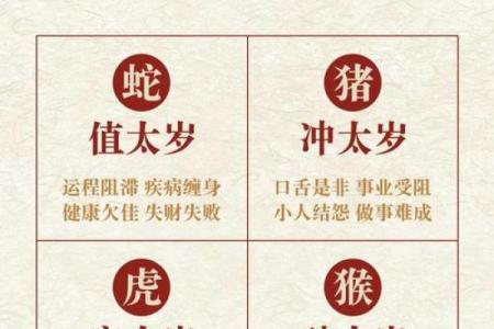 阴阳相隔是什么生肖  词语释义解释落实