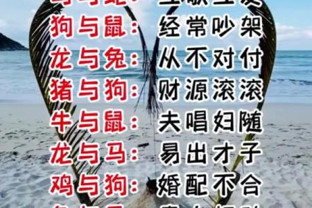 一轮红日照天涯对应的生肖是什么  