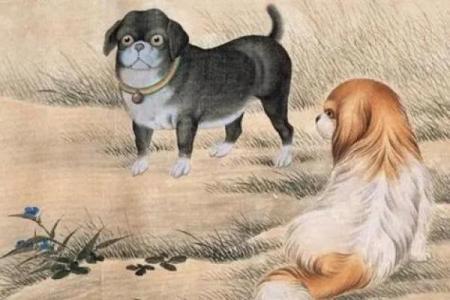 胆大包天打一生肖  词语释义解释落实