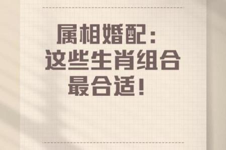 95年属相是什么生肖，婚配宜忌有哪些  