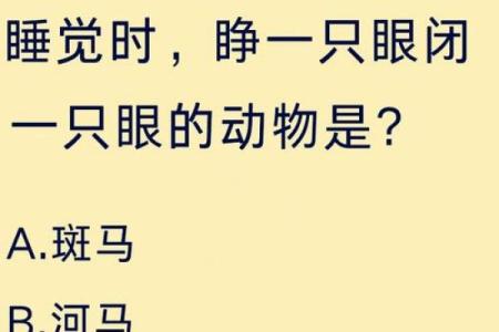 什么动物睡觉睁一只眼闭一只眼  词语释义解释落实