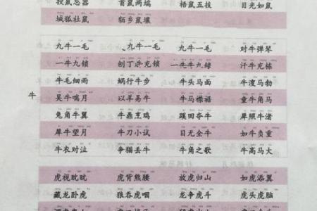 恨之入骨打一生肖  词语释义解释落实