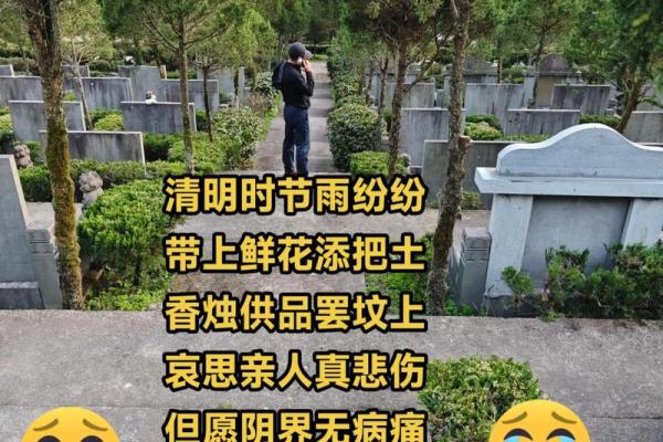 2026年修坟动土得把眼睛擦亮了有哪些,需要准备什么祭品 2026年修坟动土得把眼睛擦亮了有哪些,需要准备什么祭品