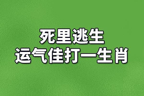 忍辱负重打一个生肖是什么意思  