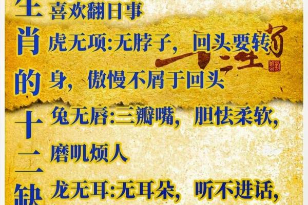 自强不息是什么生肖  词语释义解释落实
