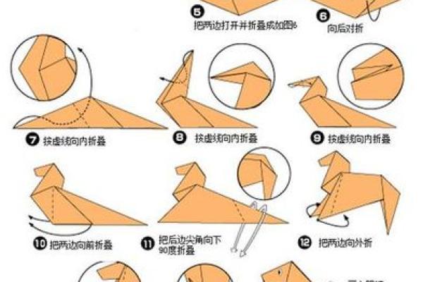 出生蛋壳体虽轻对应的生肖动物是什么  