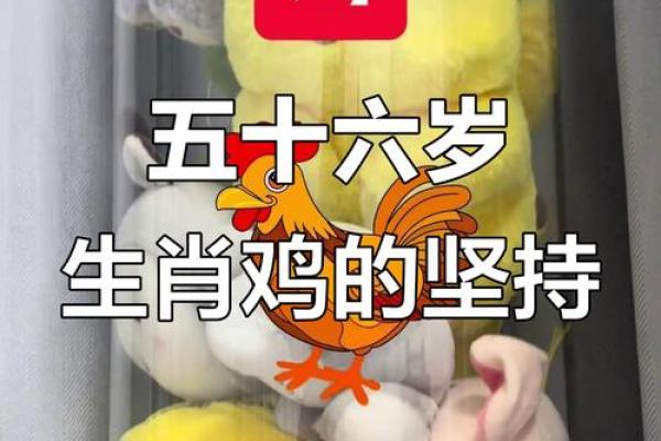 1969年出生的人属相是什么  