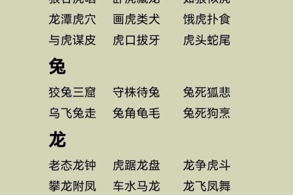 救苦救难打一生肖是什么动物有什么寓意  