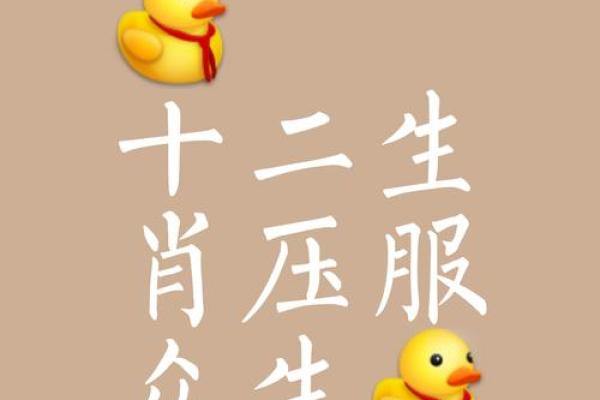 雨打梨花在生肖文化中代表什么动物  