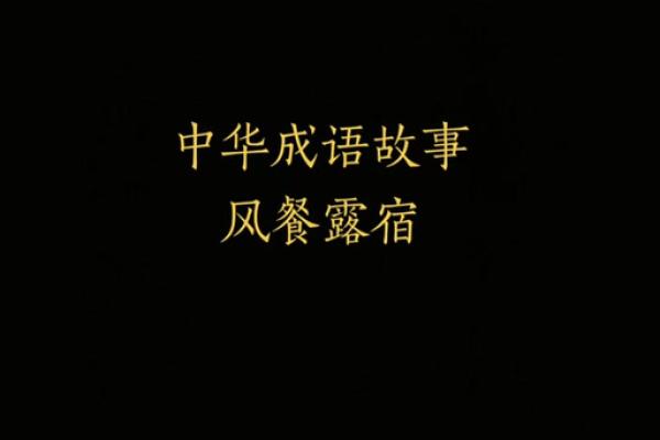 风餐露宿打一生肖是什么答案及详细解析  