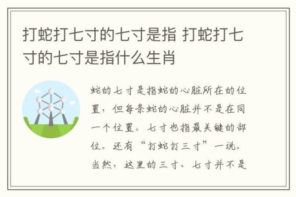 无发无天打一个生肖是什么意思怎么解答  