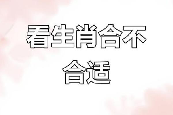 两雄相争最佳生肖配对结果及运势解析  