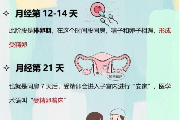 2026年1月最佳受孕日期是哪几天，如何科学备孕