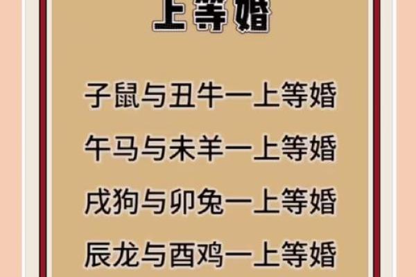 青梅竹马最佳生肖配对解析与爱情运势  