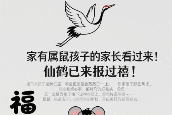 龟鹤之年对应的生肖是什么及其寓意解析  