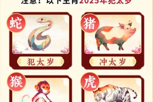 夺人之爱对应的生肖是什么怎么解释  