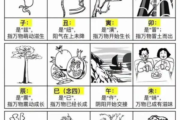 夺人之爱对应的生肖是什么怎么解释  