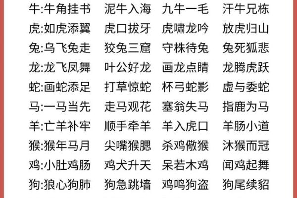 一日之长是什么生肖  词语释义解释落实