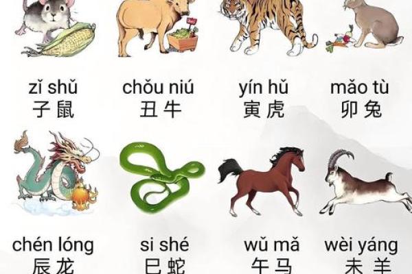 天之骄子在十二生肖中代表哪个动物  