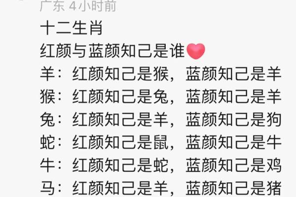 红颜知己是什么生肖  词语释义解释落实