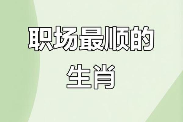 兵在精而不在多指的是什么生肖最适合职场发展  
