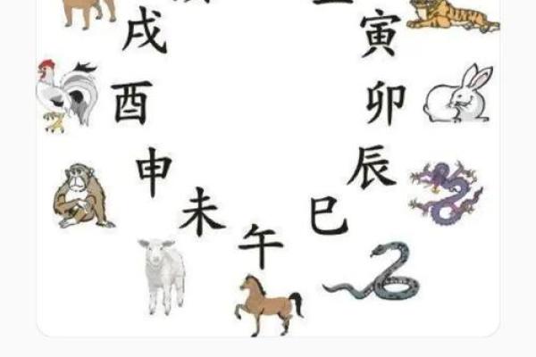 天各一方在十二生肖中代表哪个动物  