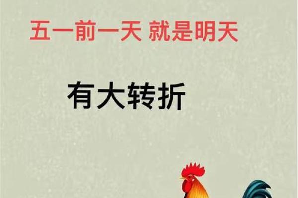 落难凤凰不如鸡是指什么生肖  词语释义解释落实