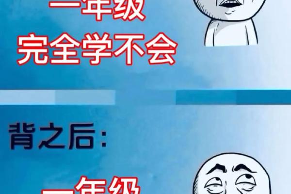 龟鹤之年猜一个动物  词语释义解释落实