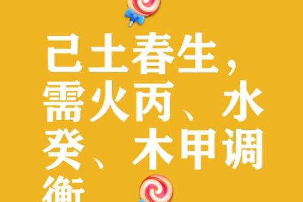 入土为安是什么生肖  词语释义解释落实