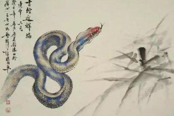 人心不足蛇吞象在十二生肖中代表哪个动物  