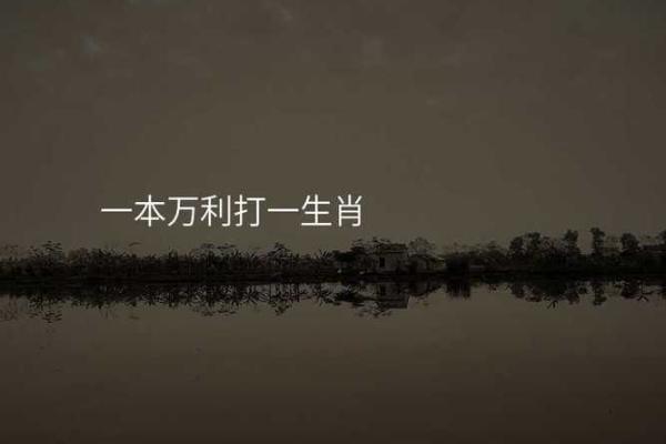 一本万利打一个生肖  词语释义解释落实